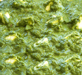 Palak Paneer