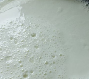 Plain Yogurt