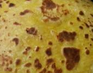 Puran Poli