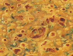 Methi Thepla